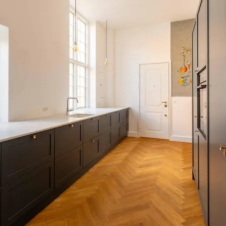 Modern Luxury 4br Near King's Garden Kodaň